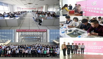 电子商务专业辽宁省学校